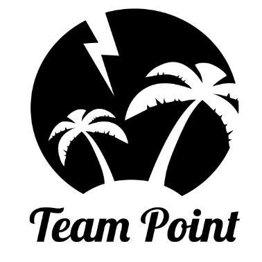 TEAM POINT