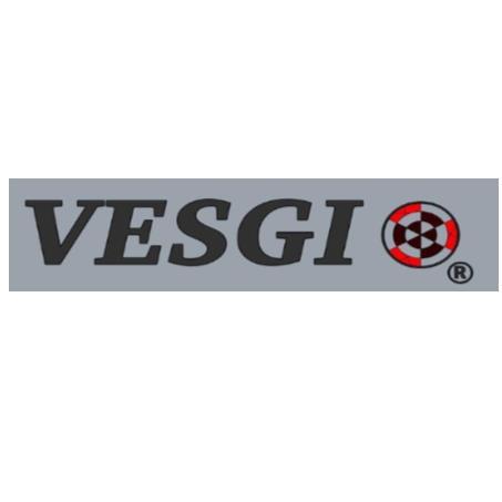 VESGI