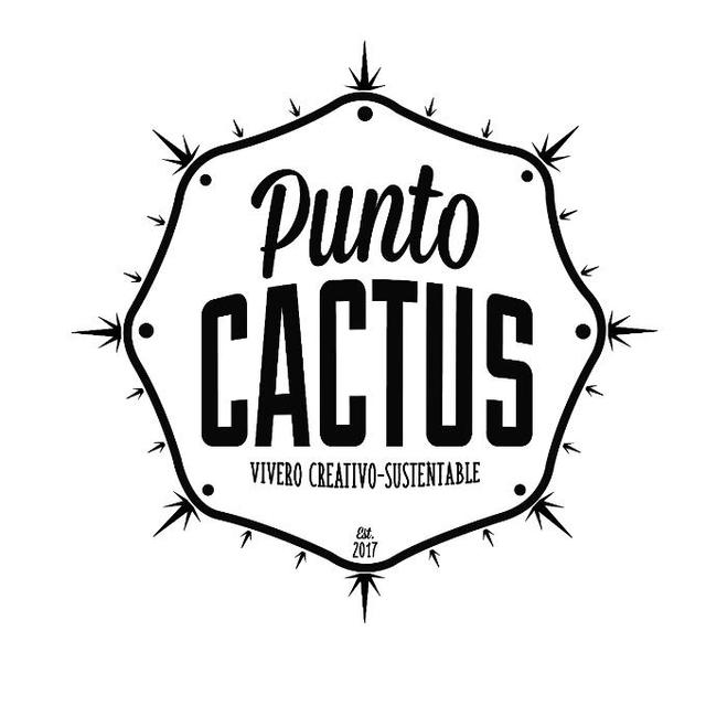 PUNTO CACTUS VIVERO CREATIVO-SUSTENTABLE EST 2017