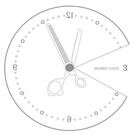 REVERSE CLOCK 3