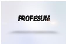 PROFESUM