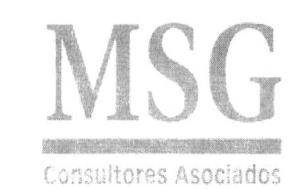 MSG CONSULTORES ASOCIADOS