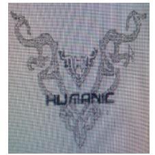 HUMANIC H