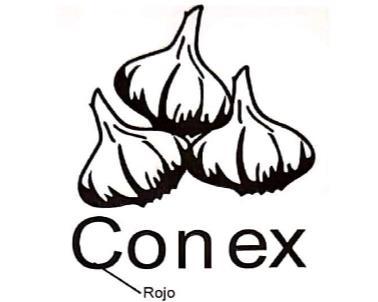 CONEX