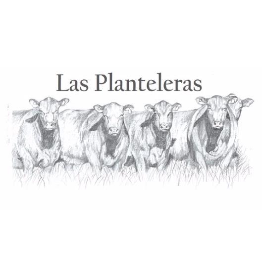 LAS PLANTELERAS