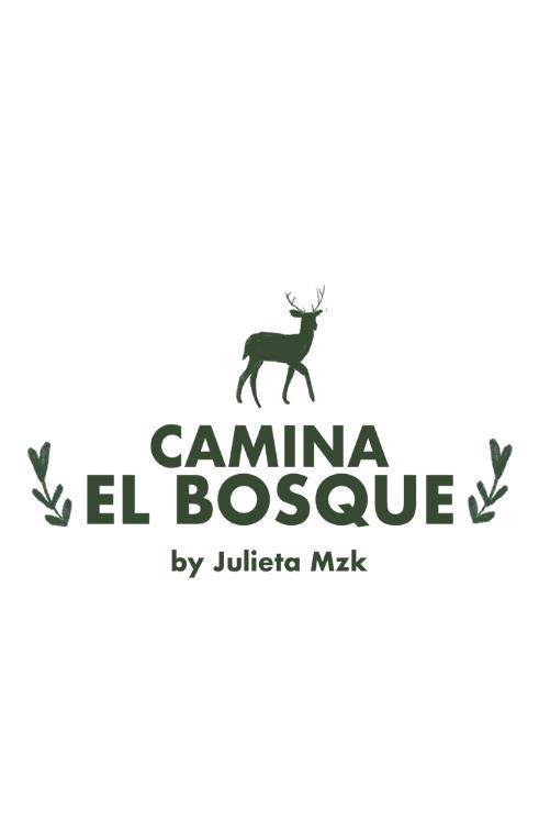 CAMINA EL BOSQUE BY JULIETA MZK