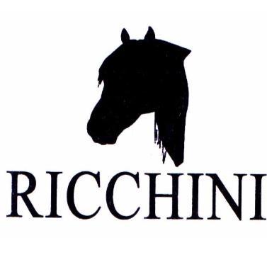 RICCHINI