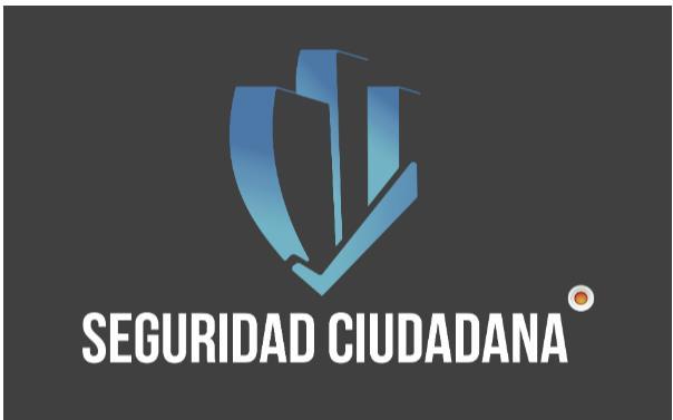 SEGURIDAD CIUDADANA