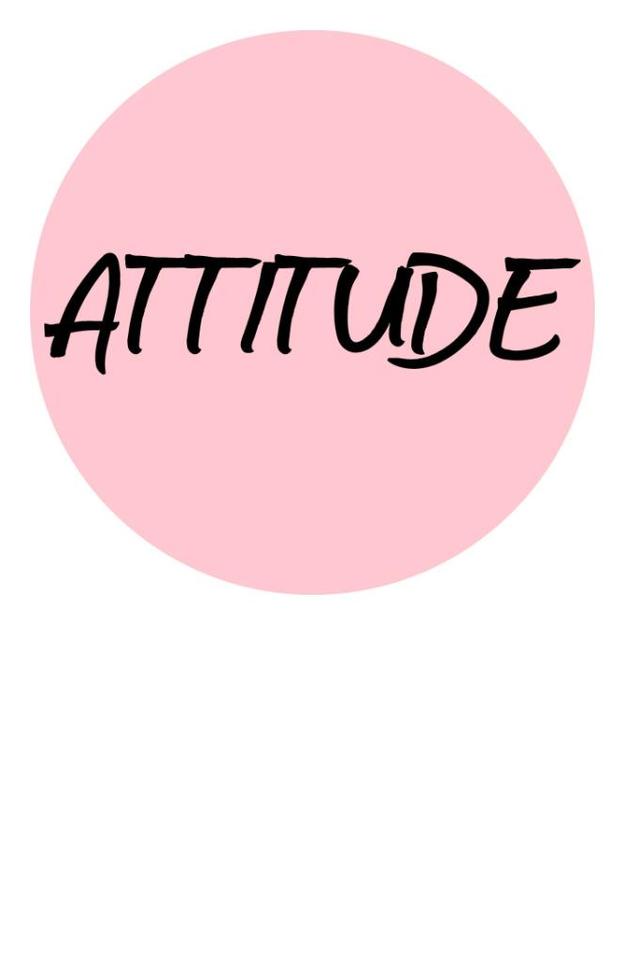 ATTITUDE