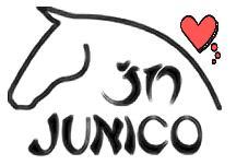 JN JUNICO