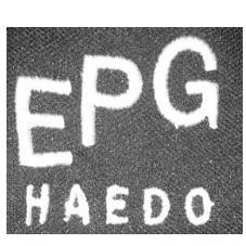 EPG HAEDO