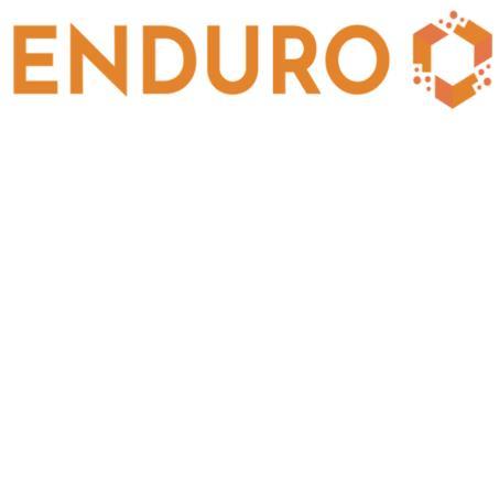 ENDURO