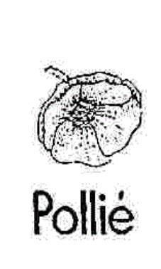 POLLIE