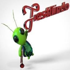 FESTILINDO