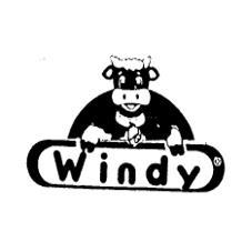 WINDY