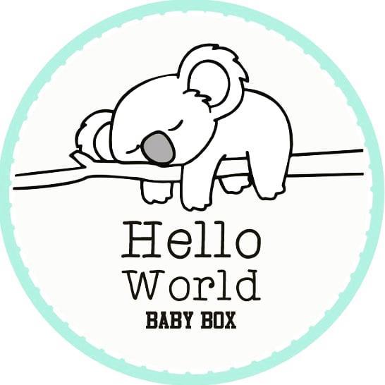 HELLO WORLD BABY BOX