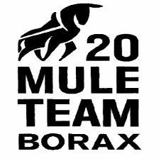 20 MULE TEAM BORAX