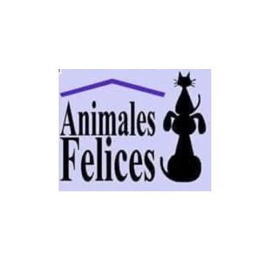 ANIMALES FELICES