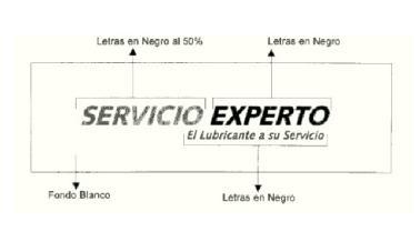 SERVICIO EXPERTO EL LUBRICANTE A SU SERVICIO