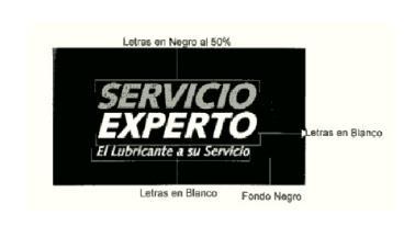 SERVICIO EXPERTO EL LUBRICANTE A SU SERVICIO
