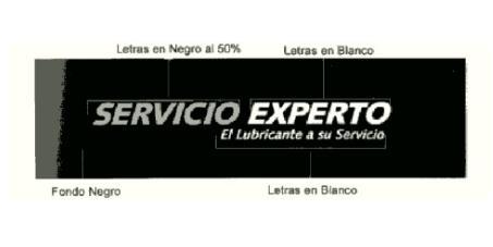 SERVICIO EXPERTO EL LUBRICANTE A SU SERVICIO