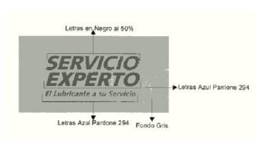 SERVICIO EXPERTO EL LUBRICANTE A SU SERVICIO