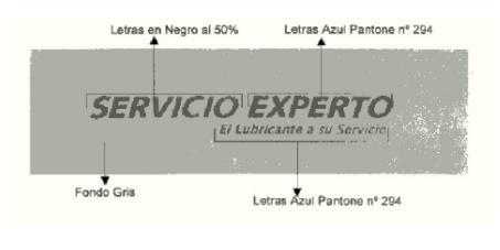 SERVICIO EXPERTO EL LUBRICANTE A SU SERVICIO