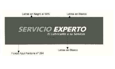 SERVICIO EXPERTO EL LUBRICANTE A SU SERVICIO