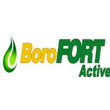 BOROFORT ACTIVE