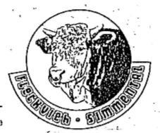 FLECKVIEH-SIMMENTAL