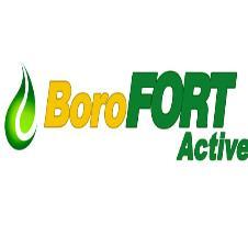 BOROFORT ACTIVE