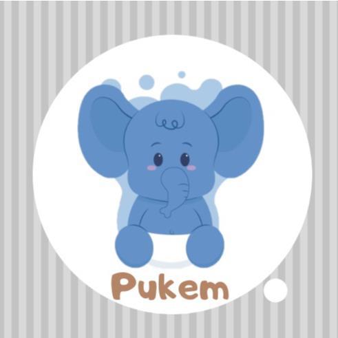 PUKEM