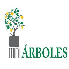 MINI ÁRBOLES