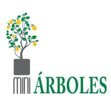 MINI ÁRBOLES