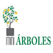 MINI ÁRBOLES