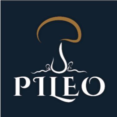 PILEO