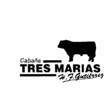 CABAÑA TRES MARIAS H.F. GUTIERREZ