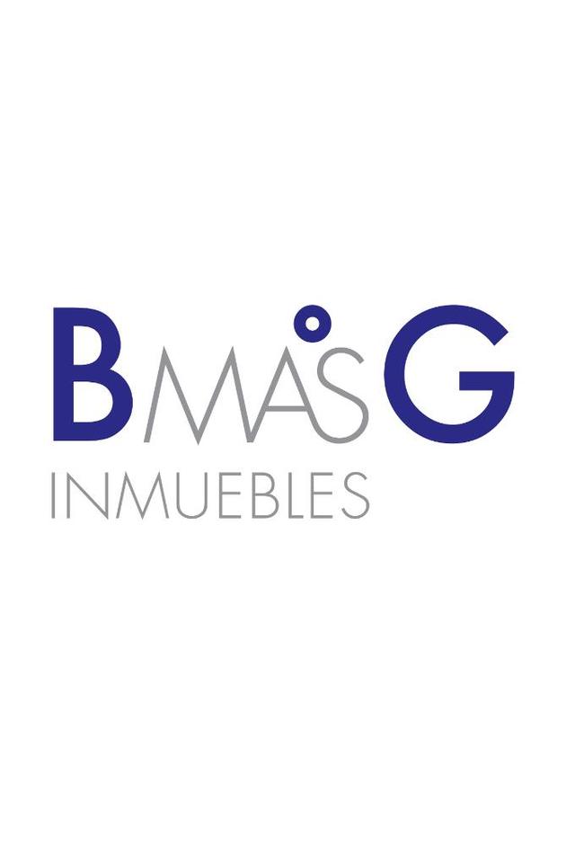 BMASG INMUEBLES