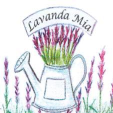 LAVANDA MÍA