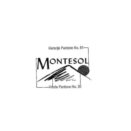 MONTESOL