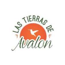 LAS TIERRAS DE AVALON