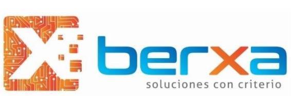 X BERXA SOLUCIONES CON CRITERIO