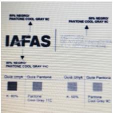 IAFAS INSTITUTO DE AYUDA FINANCIERA A LA ACCION SOCIAL