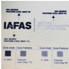 IAFAS INSTITUTO DE AYUDA FINANCIERA A LA ACCION SOCIAL