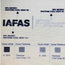 IAFAS INSTITUTO DE AYUDA FINANCIERA A LA ACCION SOCIAL