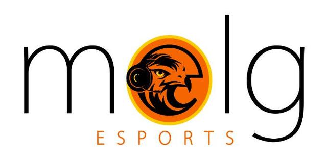 MELG ESPORTS