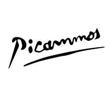 PICAMMOS