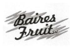 BAIRES FRUIT SRL