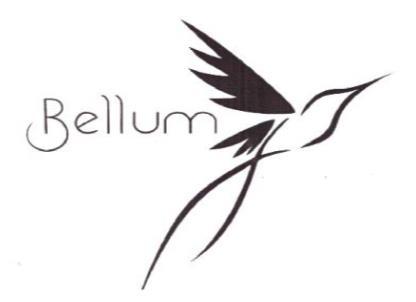 BELLUM