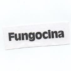 FUNGOCINA